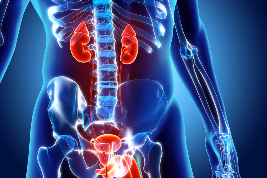 Prostatite aigue, chronique, symptômes et traitements