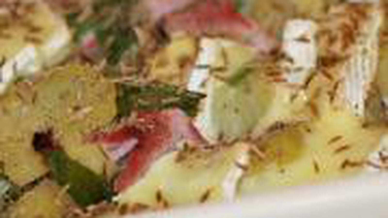 Gratin de pommes de terre et poireaux au camembert