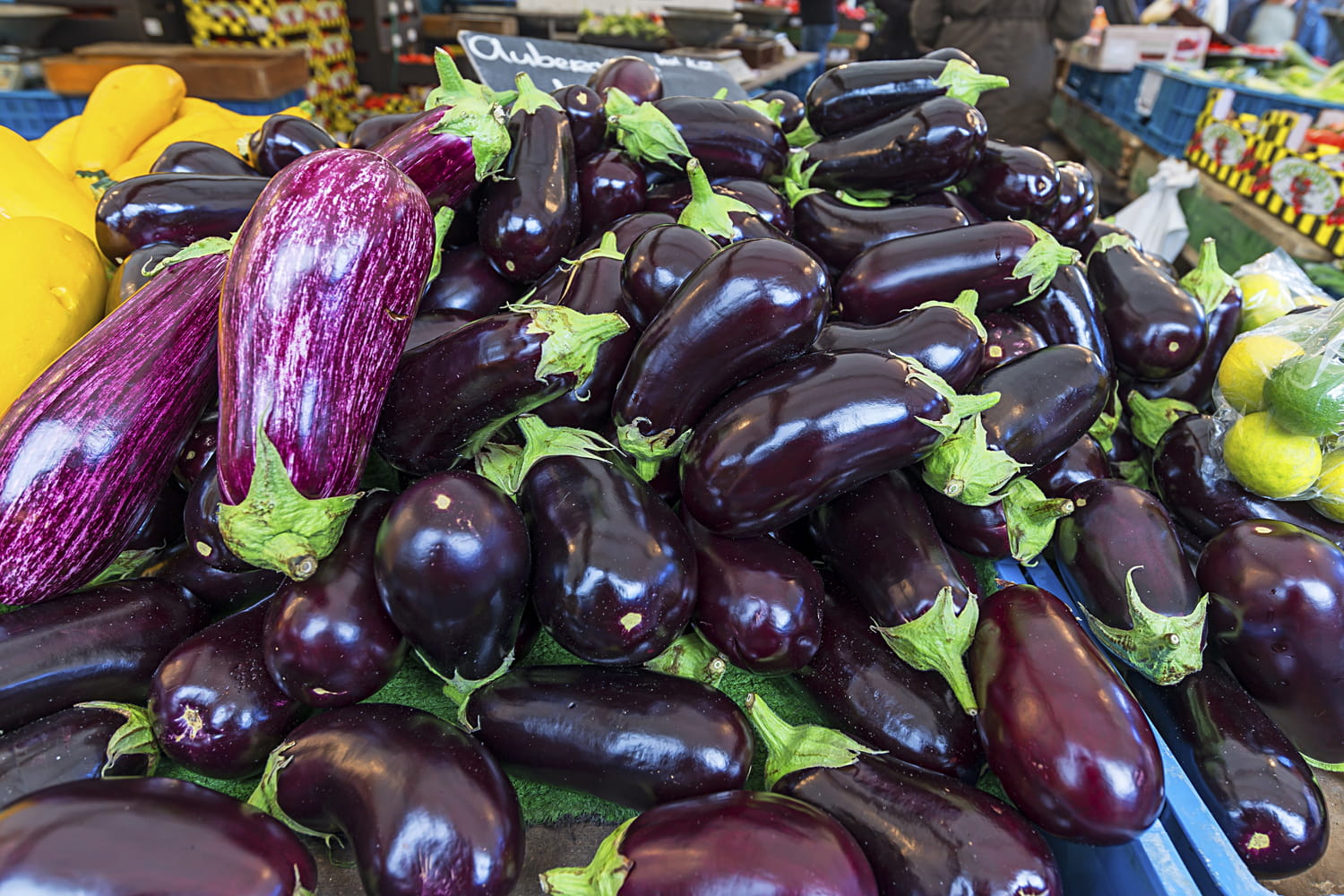 Pour bien choisir ses aubergines, ce maraîcher a un truc imparable : "veillez à ce qu'elles soient toujours..."
