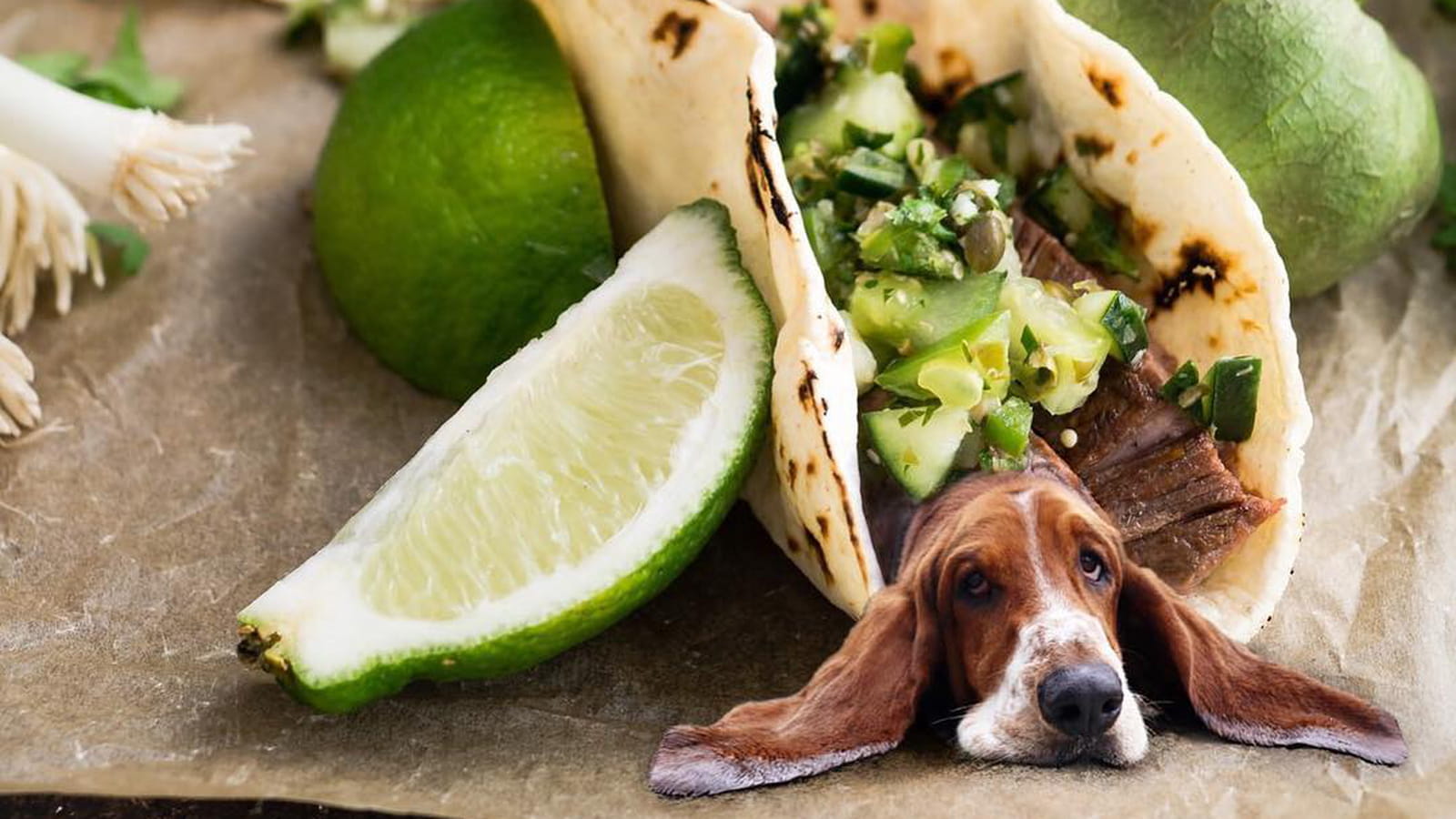 Tacos à croquer