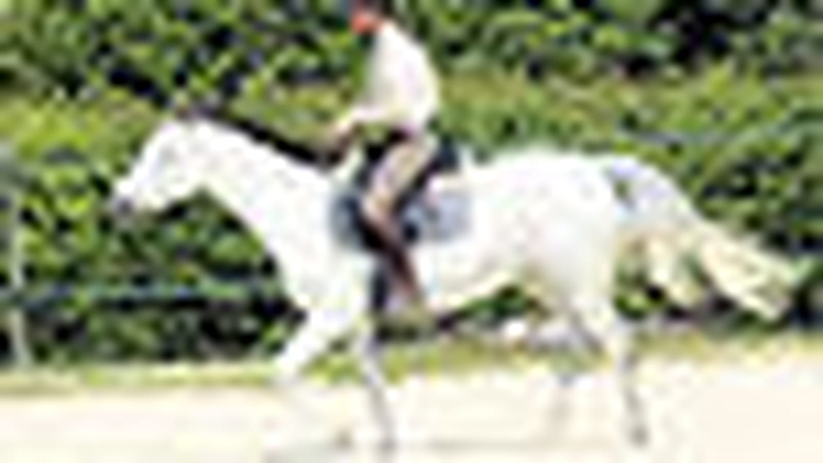 Au trot