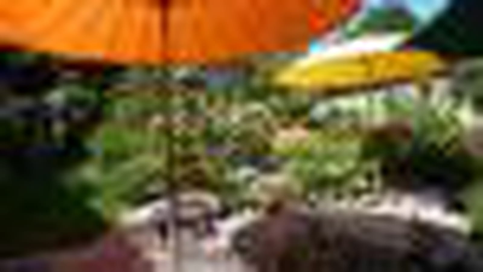 Parasols