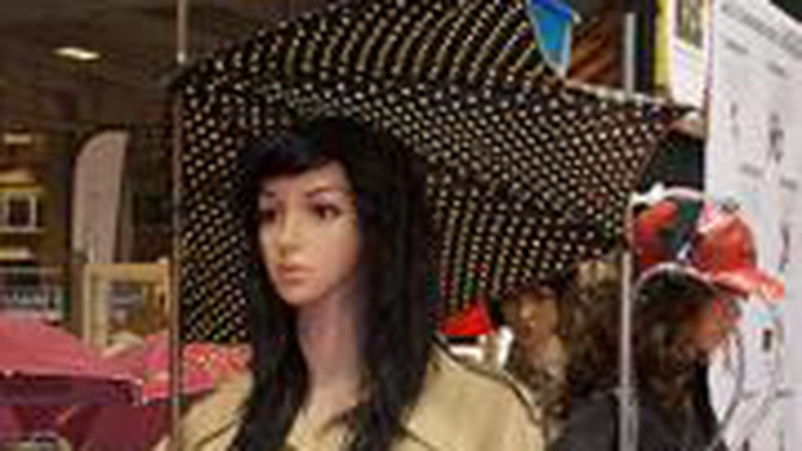 Expo sur le chindogus