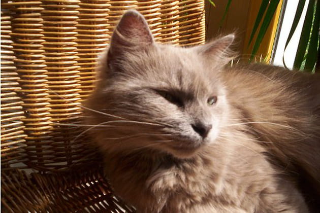 Quelle vie elle m&egrave;ne cette Lili&nbsp;!