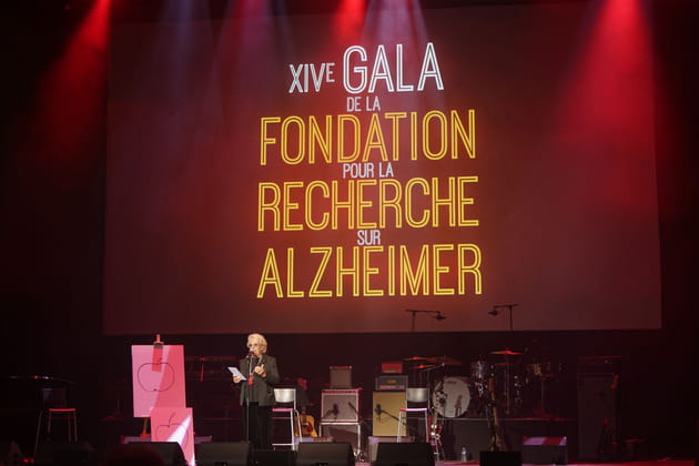 Le 14e Gala de la Fondation pour la recherche sur Alzheimer &agrave; l'Olympia