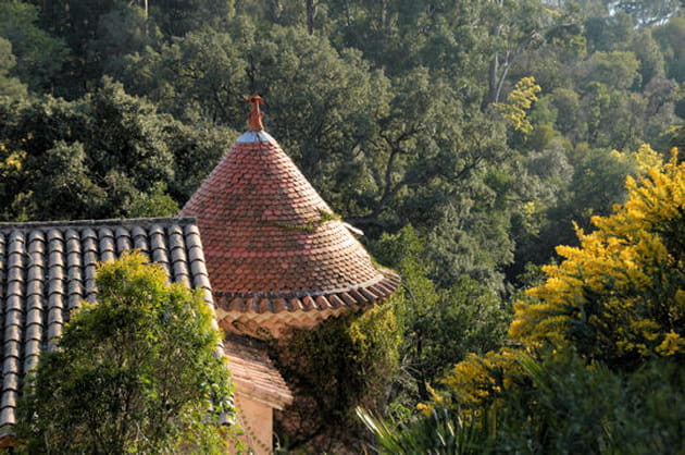 Des bâtisses noyées dans la végétation