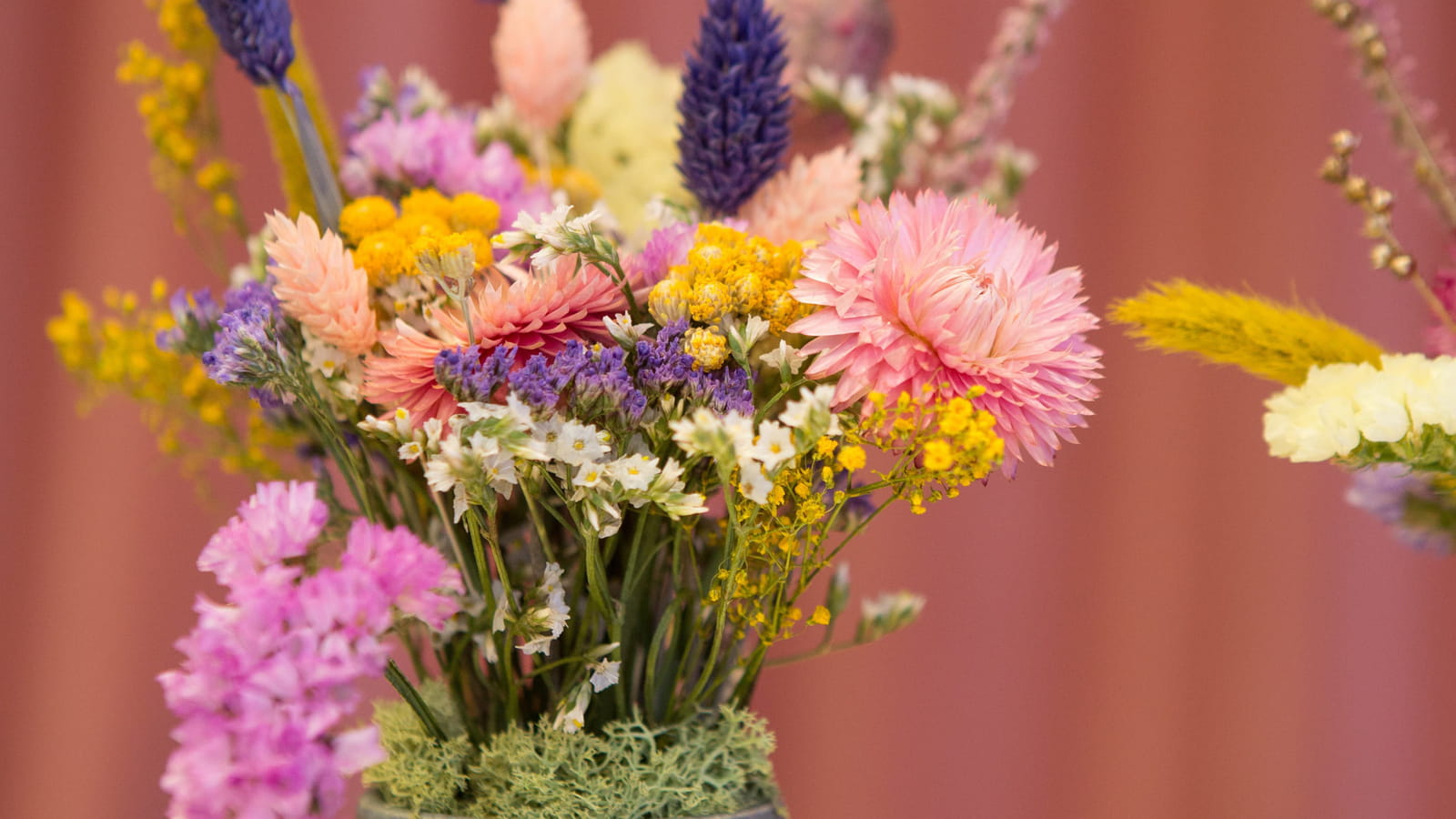 Fleurs séchées colorées 