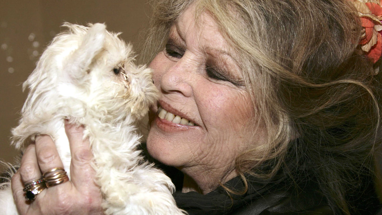 Brigitte Bardot 
