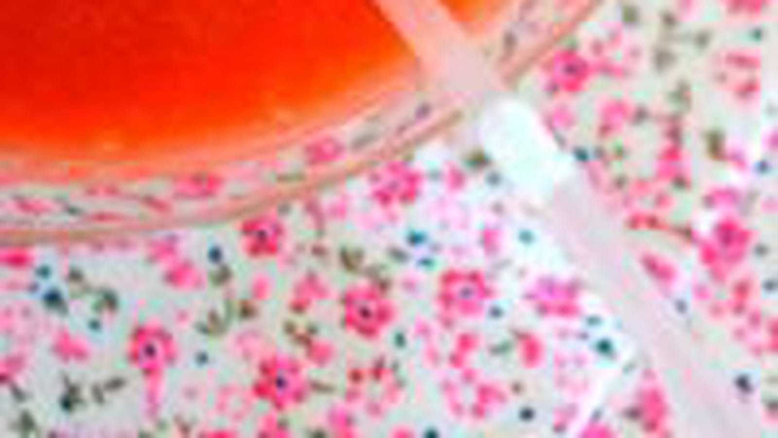 Smoothie fraises citron nectarine