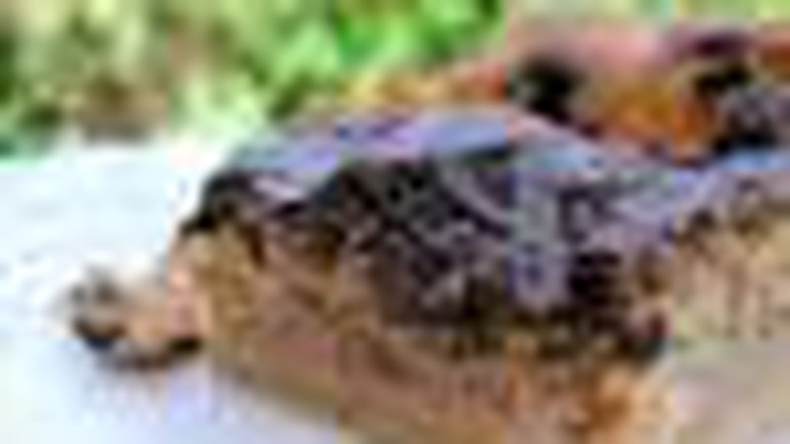 Pomme, noix, chocolat