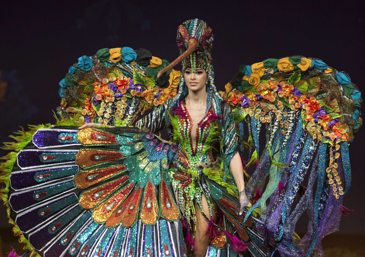 Virginia Limongi, Miss Équateur, colorée