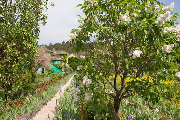 Un verger remplacé par des fleurs