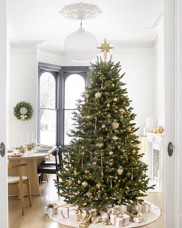 bonne-taille-de-sapin