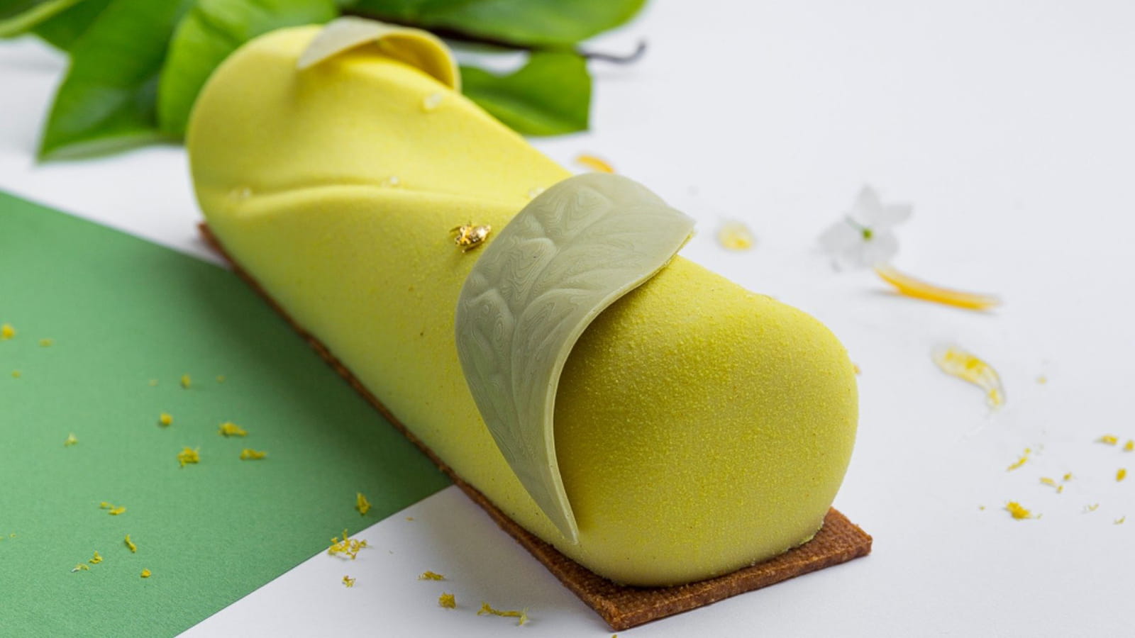 La bûche solaire et bien-être de Johanna Le Pape