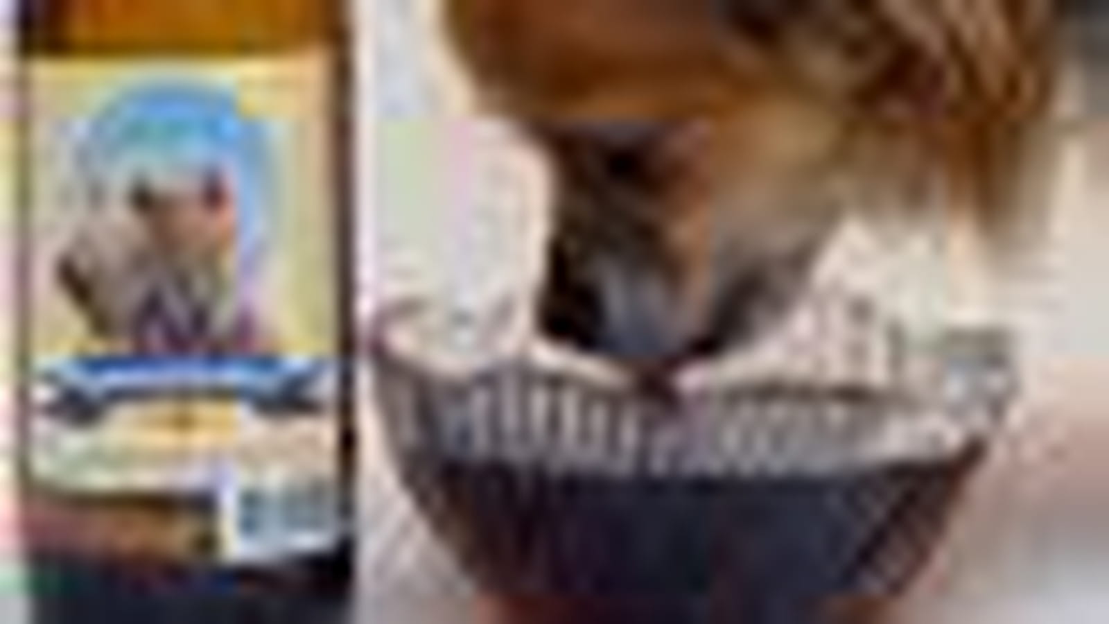 Bière pour chien