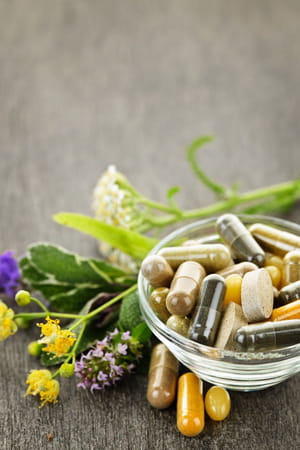 les médicaments aux plantes ne sont pas sans danger et comprennent des