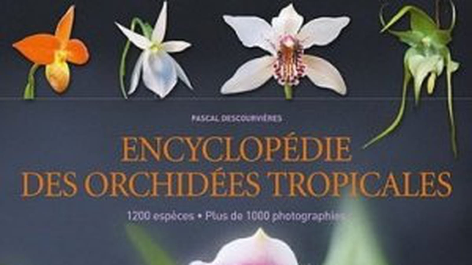  Encyclopédie des orchidées tropicales -Ulmer