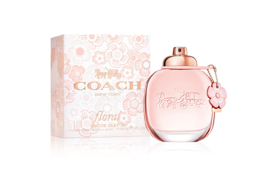 Coach Foral de Coach