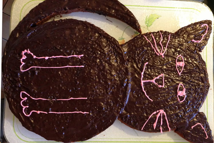 Recette De Gateau Chat Au Chocolat Noir