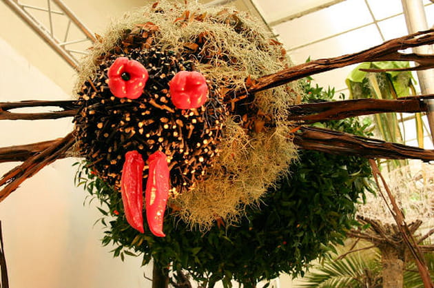 L'araign&eacute;e g&eacute;ante