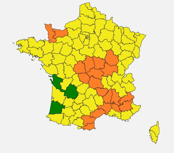carte pollen france juin 2020