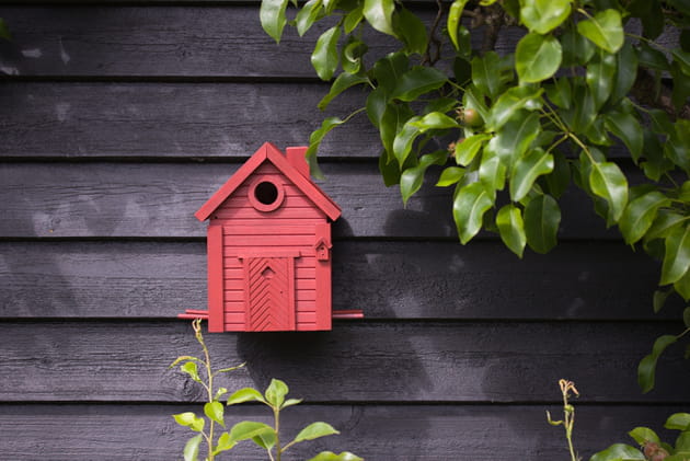 Nichoir-mangeoire Natural Pigment par Wildlife Garden