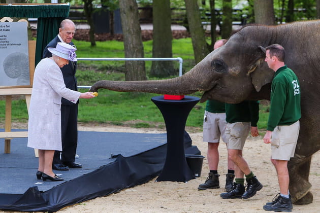 Sa Majesté la reine Elizabeth II s'est "trompée"