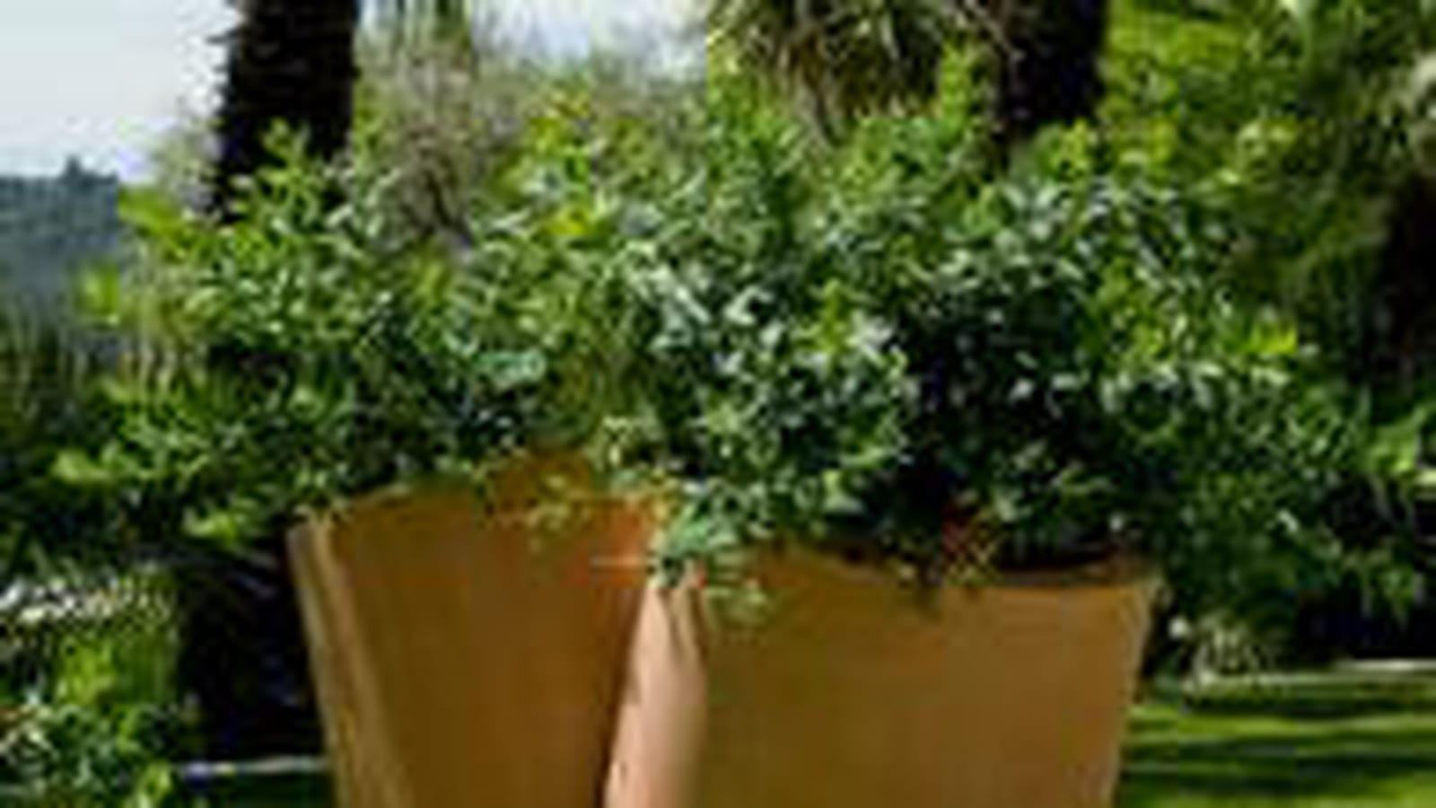 Pot Chip de Teracrea