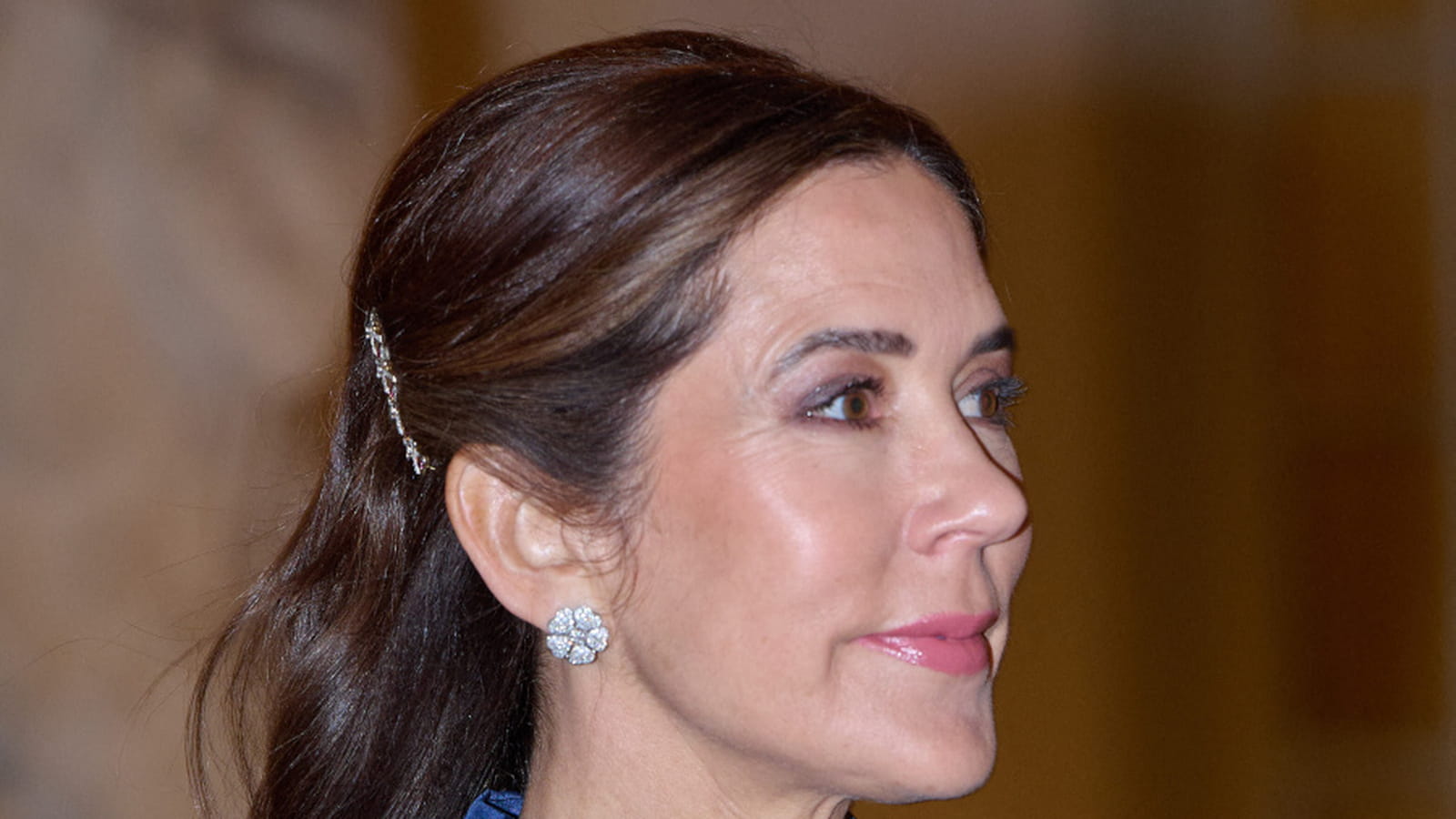 Barrettes à cheveux 