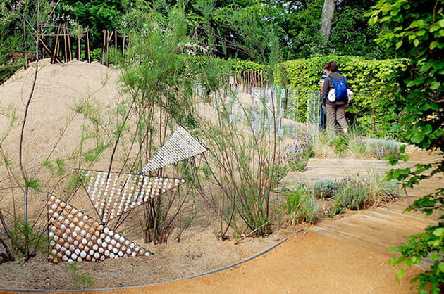 La dune aux escargots