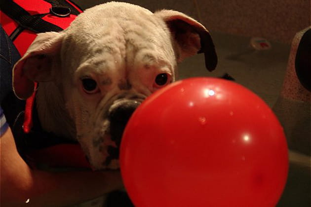 Une balle pour se motiver