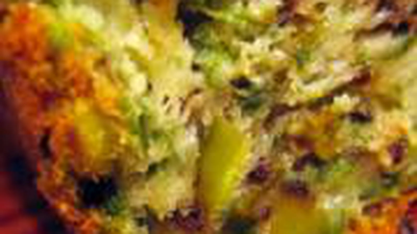 Cake roquette noix pistache