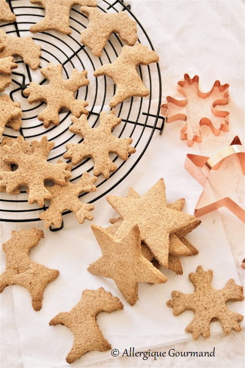 Spéculoos aux épices de Noël bio, sans gluten, sans oeufs et sans lait