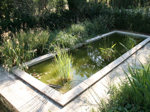 Bassin aux graminées