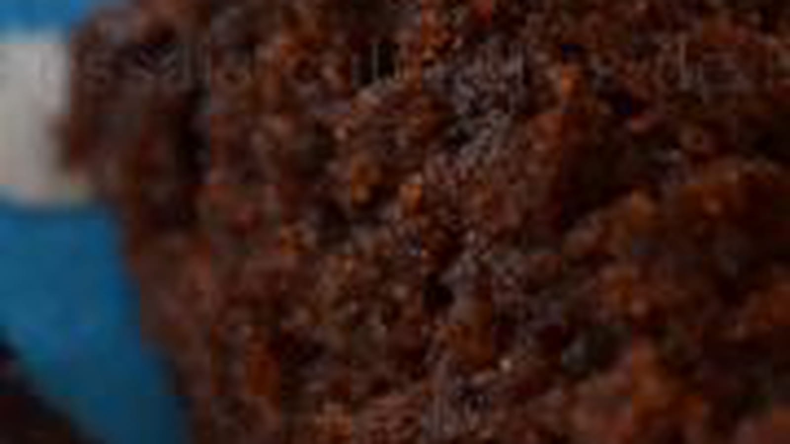 Moelleux au chocolat