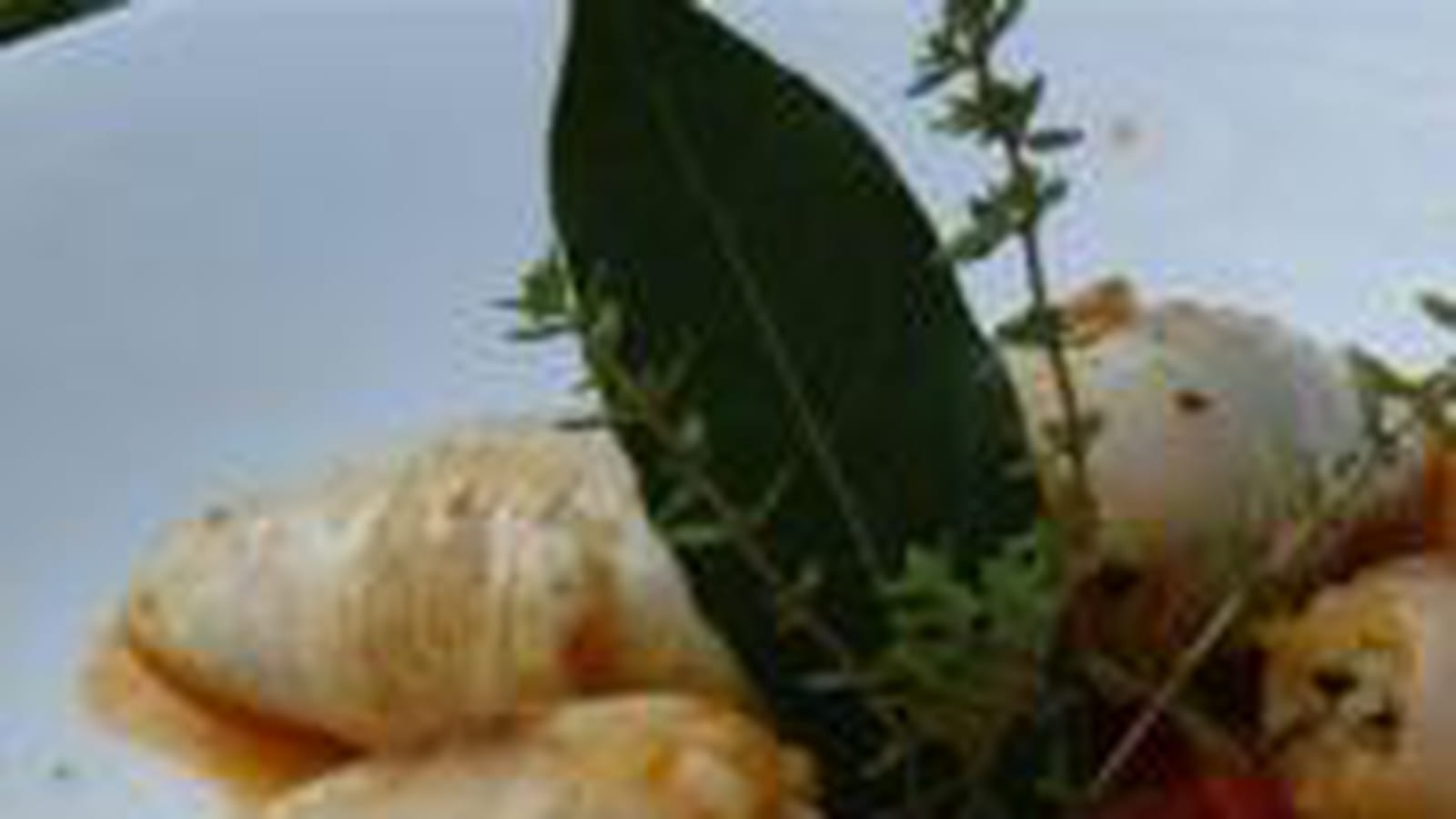 Encornets farcis au chorizo