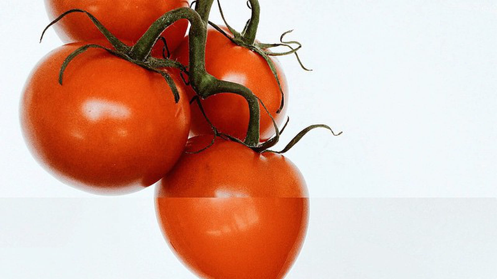 Léger comme une tomate