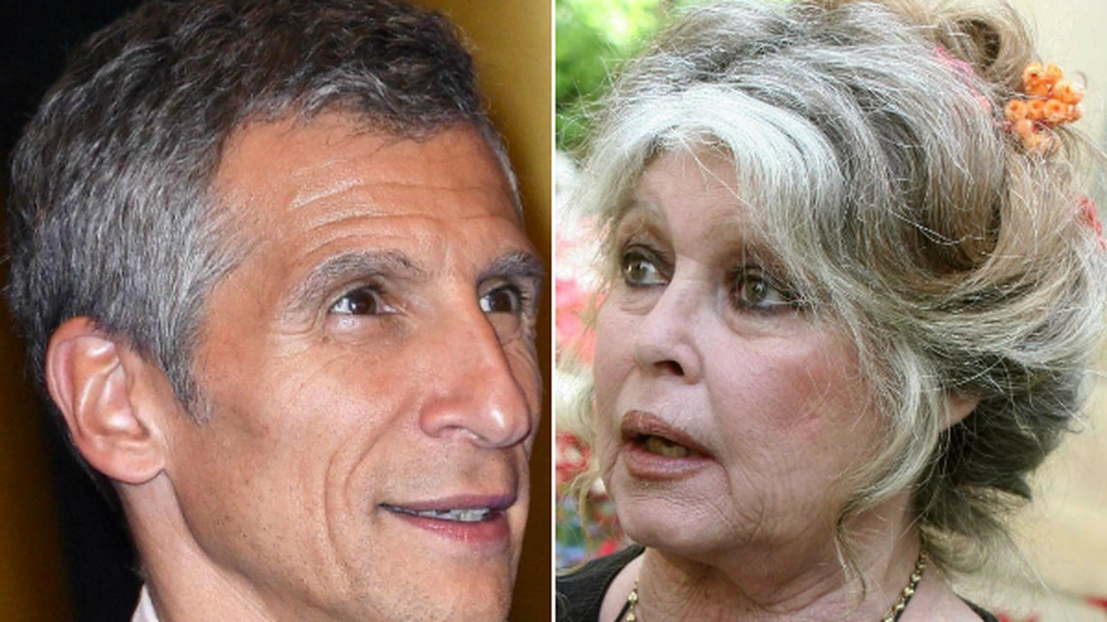 Nagui VS Brigitte Bardot