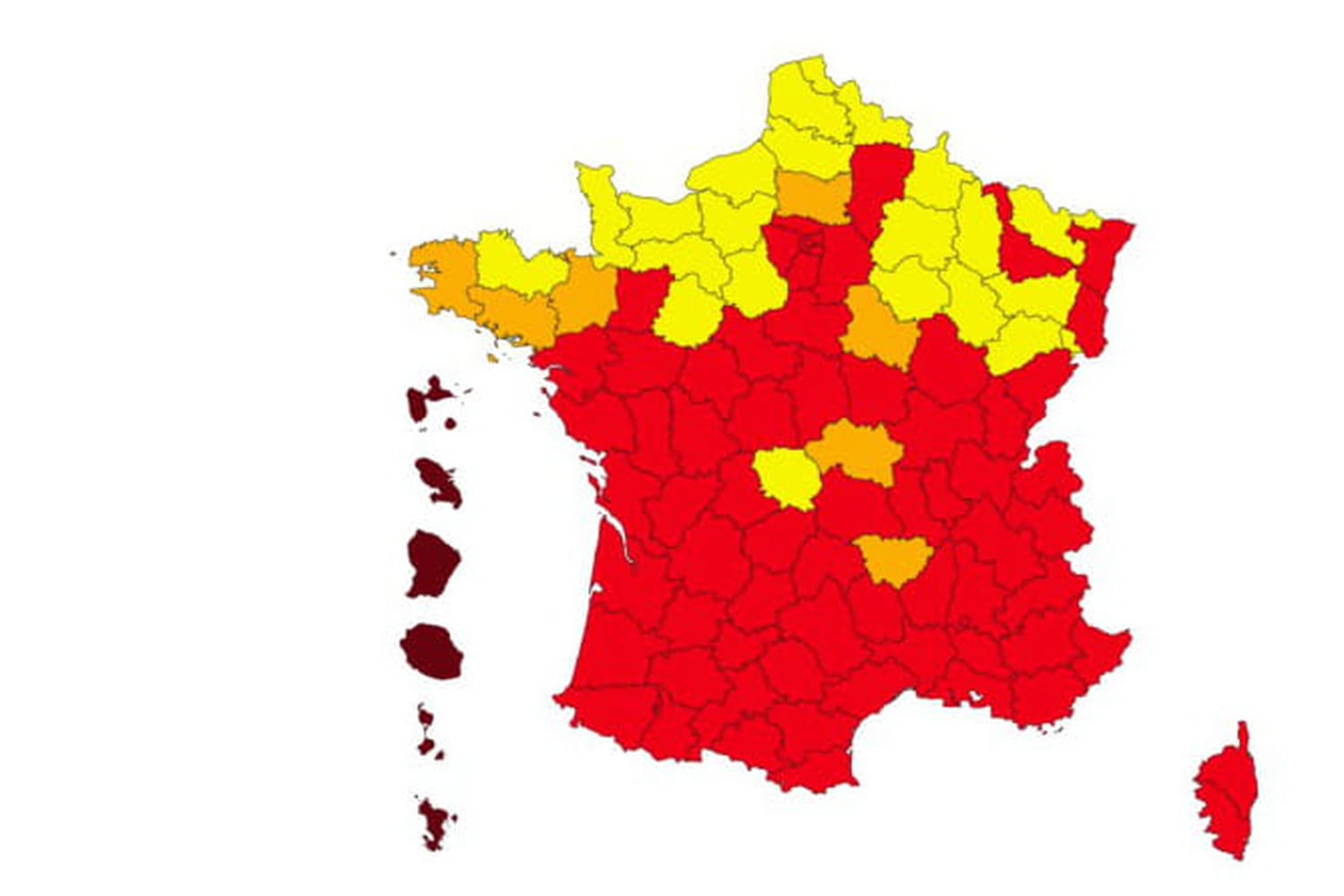 carte 2023, taille, photo, maladies, que faire ? carte 2023, taille, photo, maladies, que faire ?