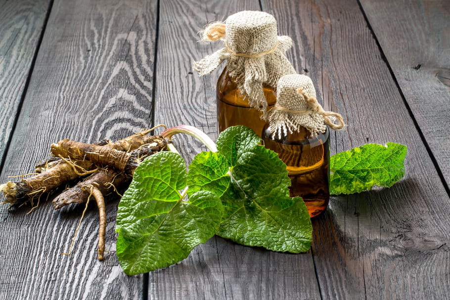 Bardane : bienfaits pour la peau, acné, psoriasis, cheveux