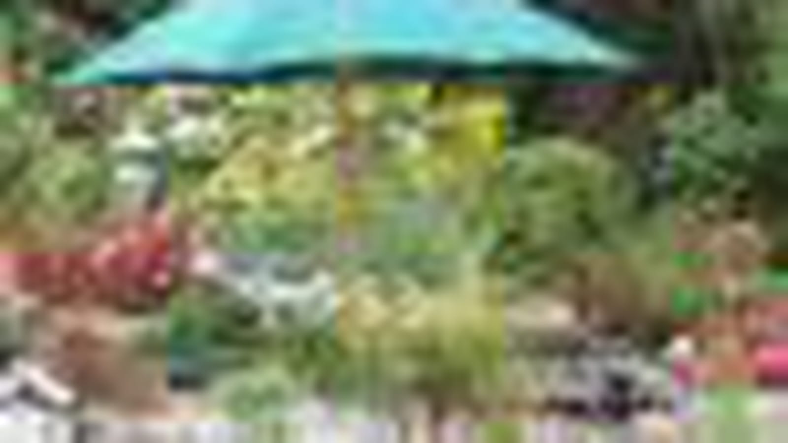 A l'ombre du parasol
