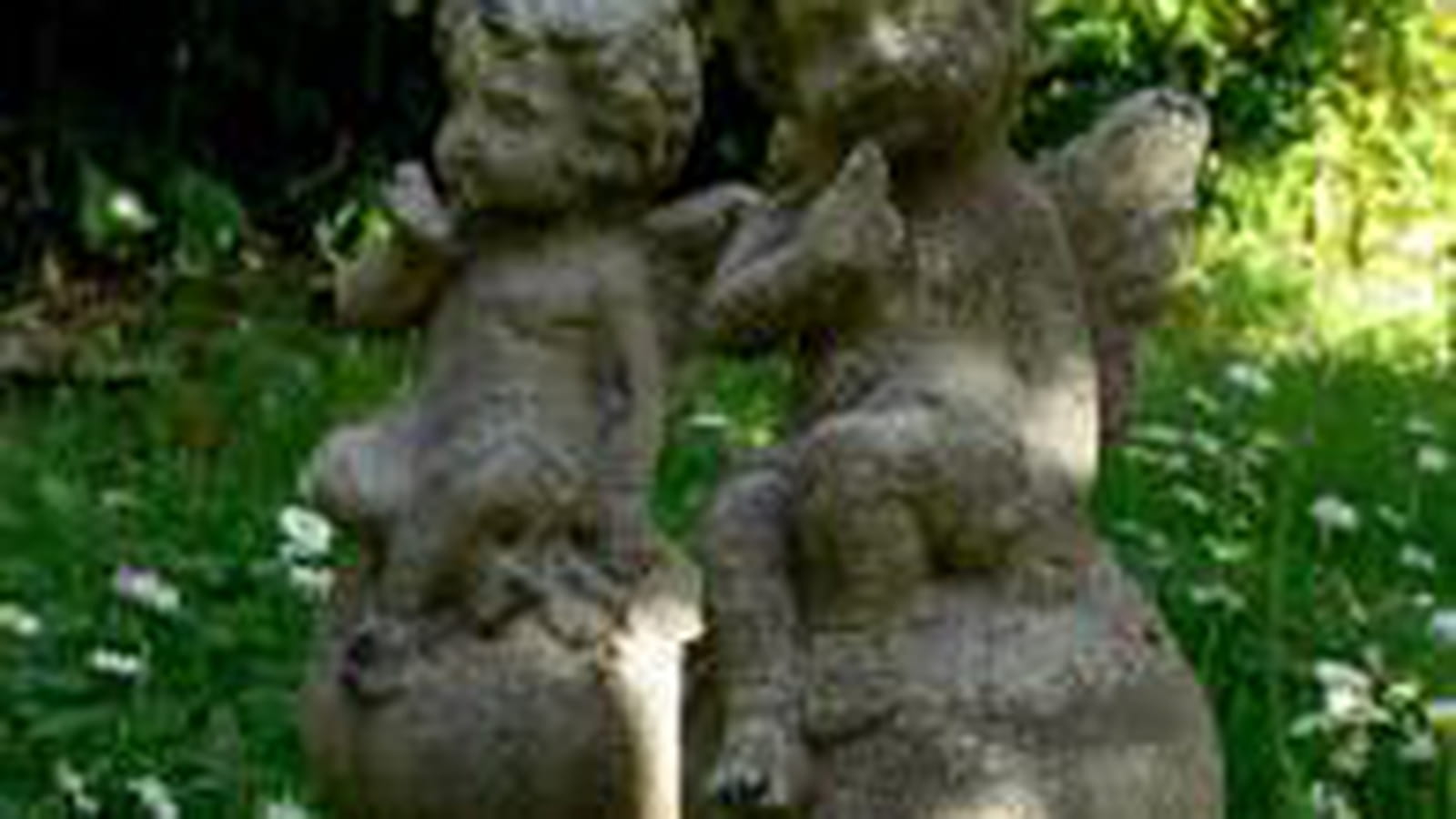 Chérubins