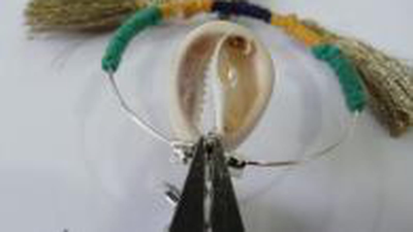 Coquillage