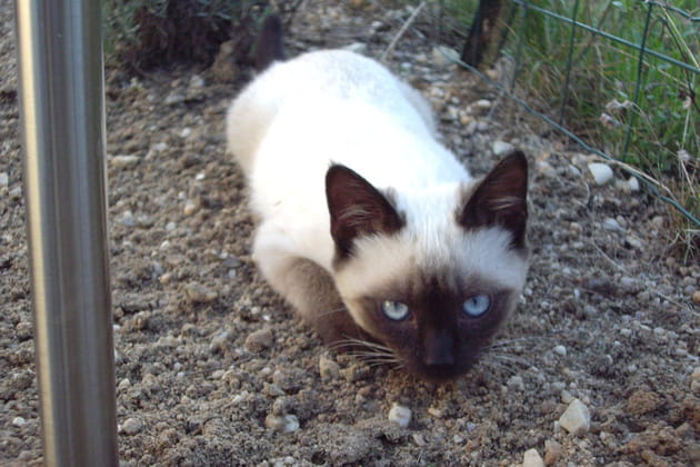 Un caract&egrave;re bien tremp&eacute;&nbsp;!
