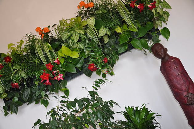 Un mur végétal pour un intérieur exotique