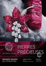 exposition-pierres-precieuses-museum-histoire-naturelle