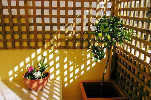 A l'abri du soleil brûlant