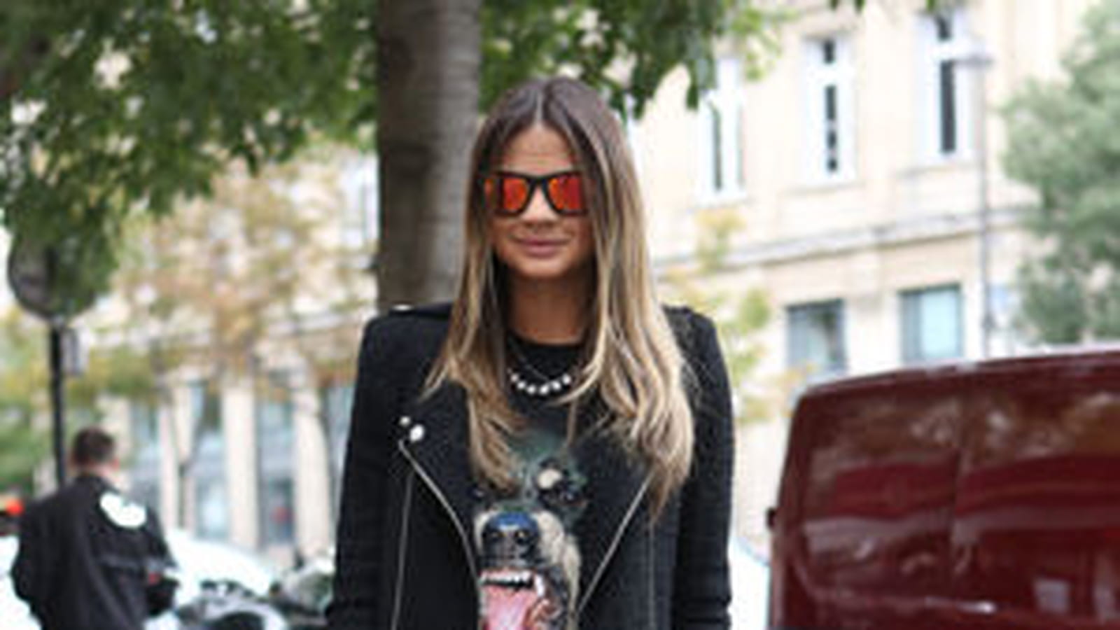 Attention, chien fashion
