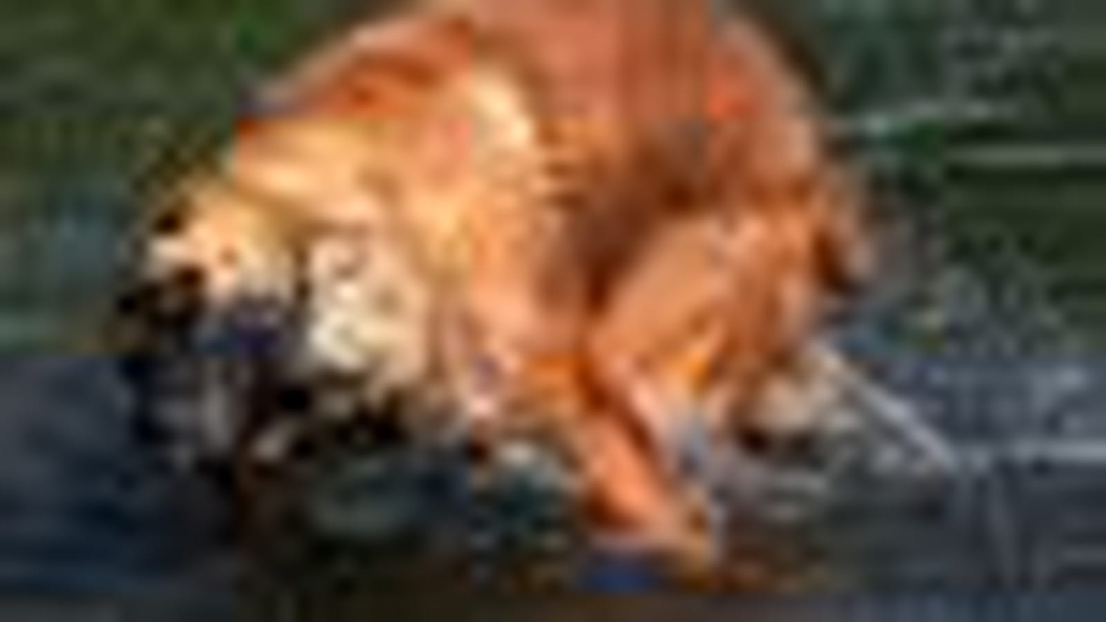 Bain