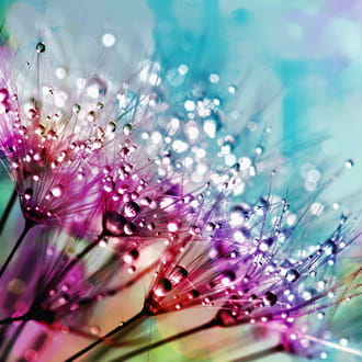 FORUM JOURNAL DES FEMMES visual data 2